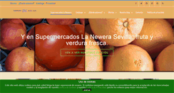 Desktop Screenshot of lanewera.es
